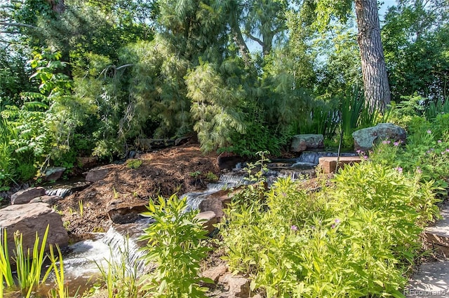 8888 W 37th Pl, Wheat Ridge, CO 80033 - photo 6