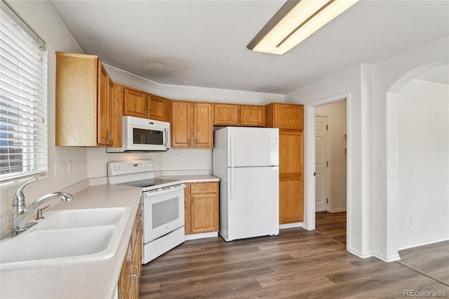 12188 Locust St, Brighton, CO 80602 - photo 13