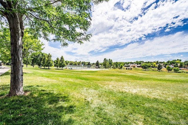 surrounding community featuring a yard and a water view