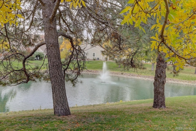 property view of water