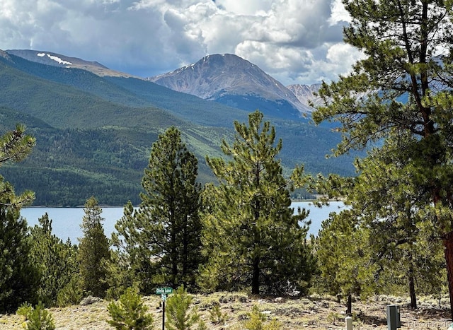 10007 Otelia Ln, Twin Lakes, CO 81251