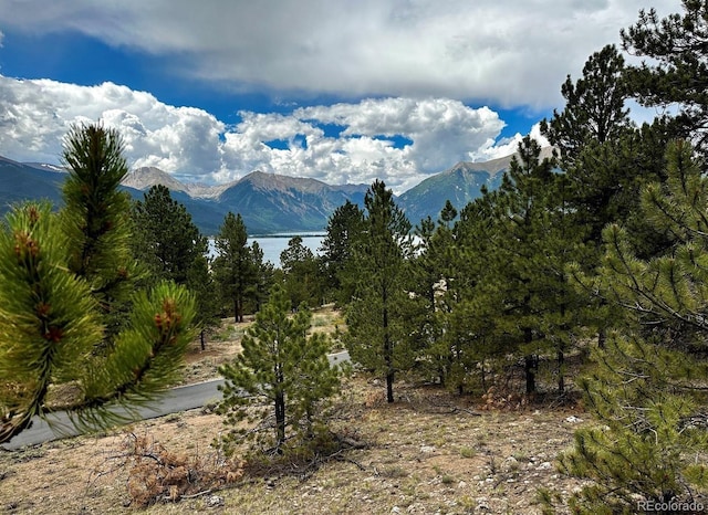 10007 Otelia Ln, Twin Lakes, CO 81251