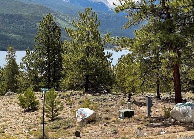 10007 Otelia Ln, Twin Lakes, CO 81251