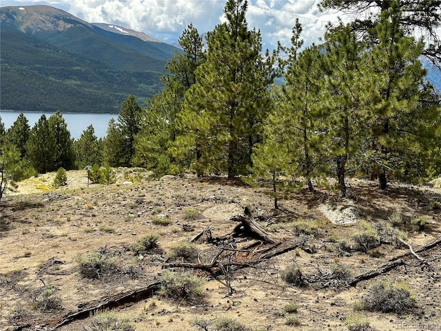 10007 Otelia Ln, Twin Lakes, CO 81251