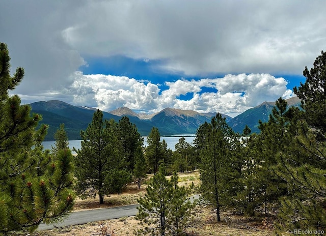 10007 Otelia Ln, Twin Lakes, CO 81251