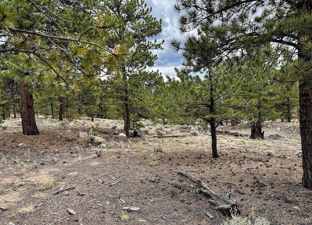 10007 Otelia Ln, Twin Lakes, CO 81251