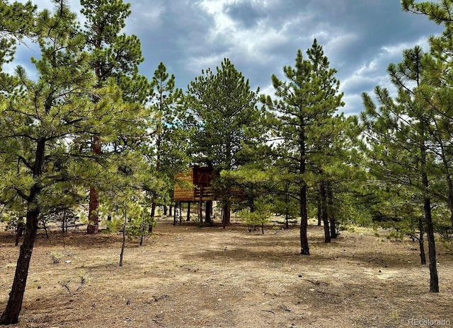 10007 Otelia Ln, Twin Lakes, CO 81251