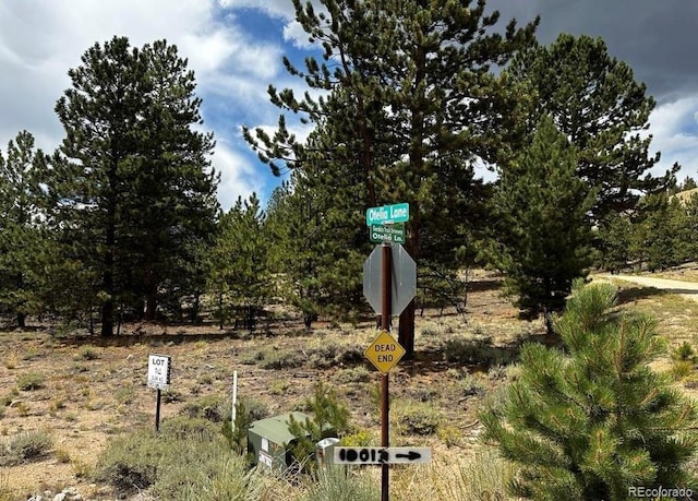 10007 Otelia Ln, Twin Lakes, CO 81251