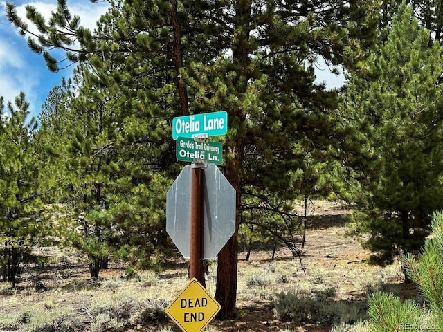 10007 Otelia Ln, Twin Lakes, CO 81251