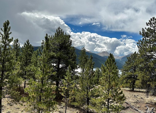 10007 Otelia Ln, Twin Lakes, CO 81251