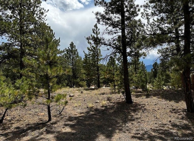 10007 Otelia Ln, Twin Lakes, CO 81251