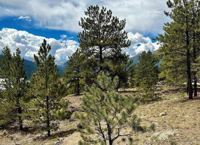 10007 Otelia Ln, Twin Lakes, CO 81251