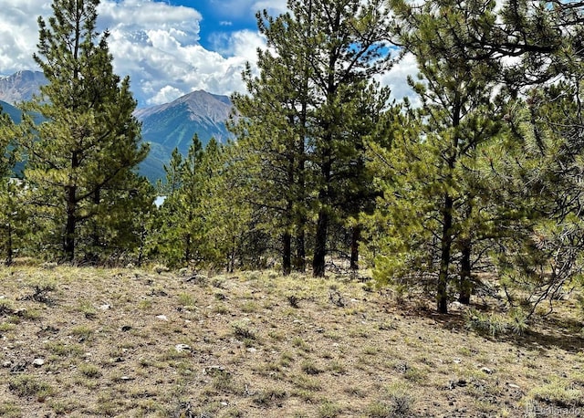 10007 Otelia Ln, Twin Lakes, CO 81251