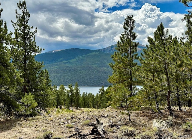 10007 Otelia Ln, Twin Lakes, CO 81251