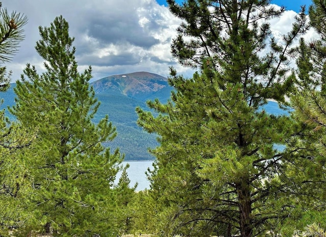 10007 Otelia Ln, Twin Lakes, CO 81251