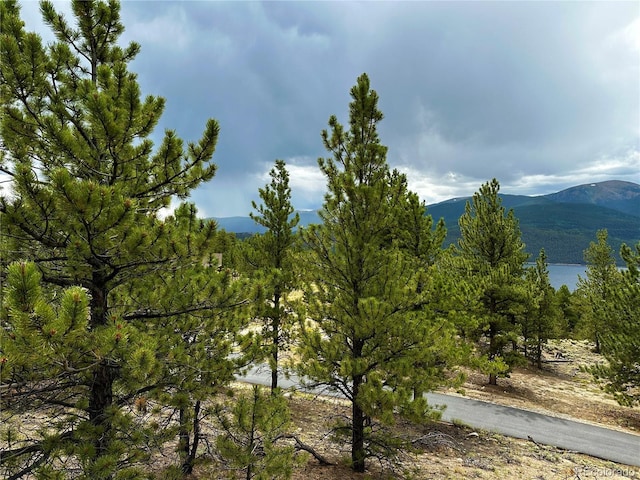 10007 Otelia Ln, Twin Lakes, CO 81251