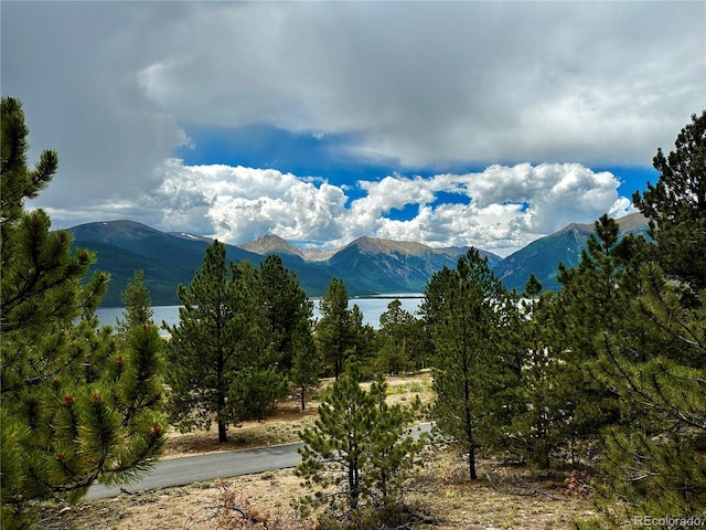 10007 Otelia Ln, Twin Lakes, CO 81251