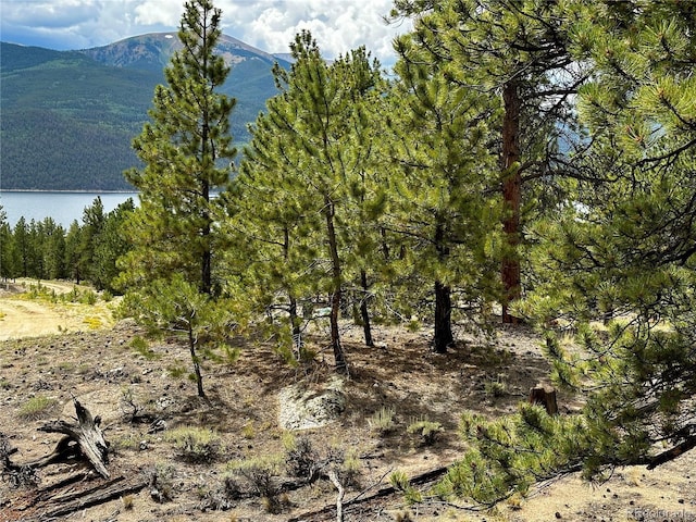 10007 Otelia Ln, Twin Lakes, CO 81251