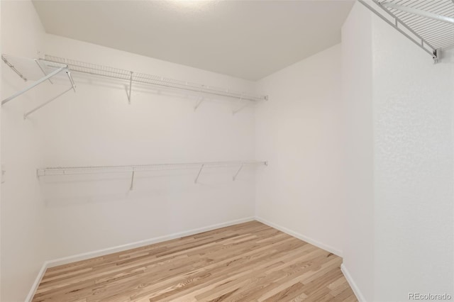 18807 E 51st Pl, Denver, CO 80249 - spacious closet featuring light wood-type flooring