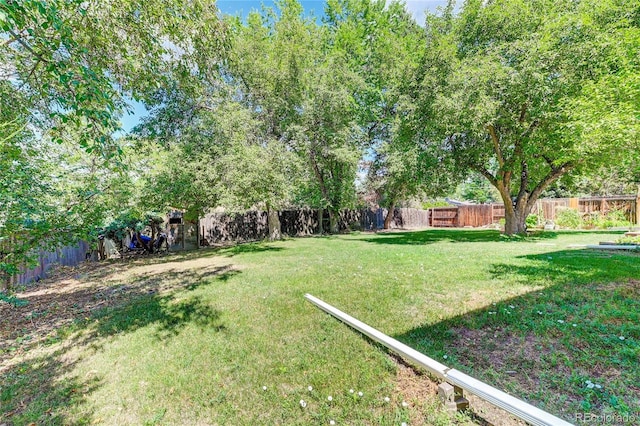 6971 S Valentia St, Centennial, CO 80112 - view of yard