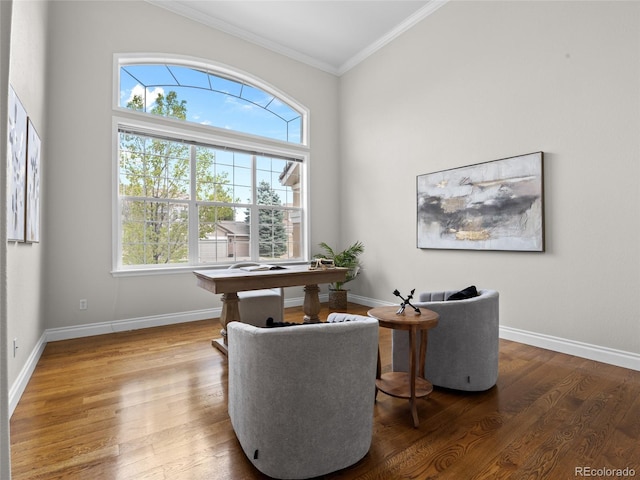 living area featuring crown molding, baseboards, and a healthy amount of sunlight