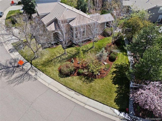 drone / aerial view