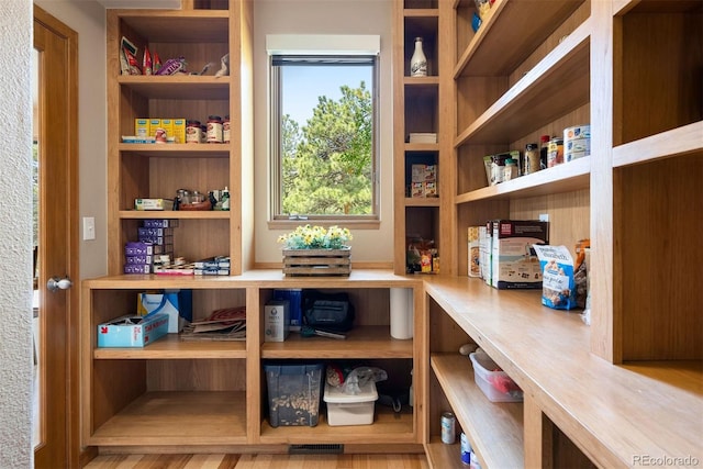 33095 Bergen Mountain Rd, Evergreen, CO 80439 - view of pantry