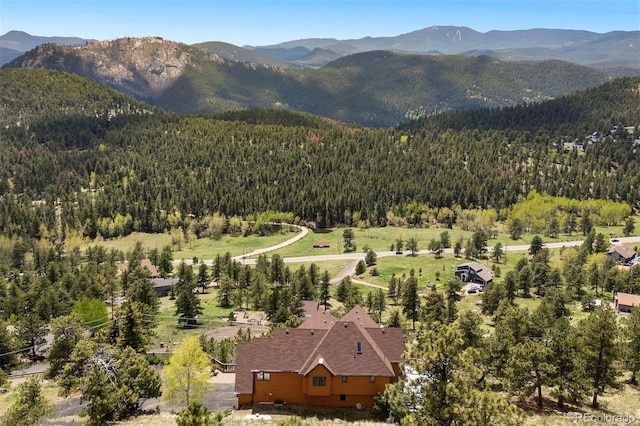 33095 Bergen Mountain Rd, Evergreen, CO 80439 - photo 4