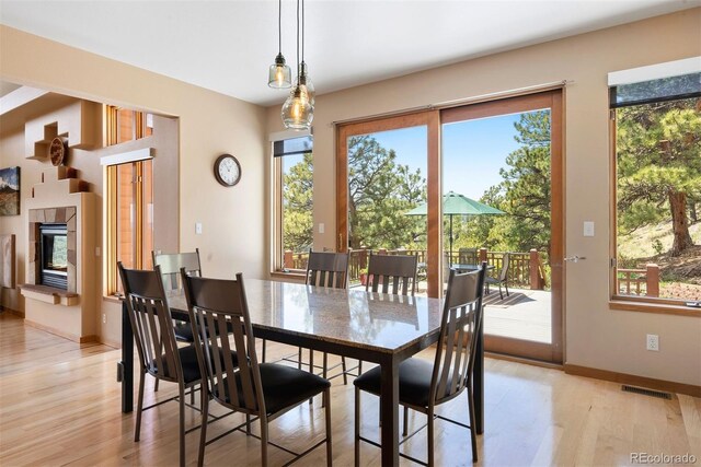 33095 Bergen Mountain Rd, Evergreen, CO 80439 - photo 15