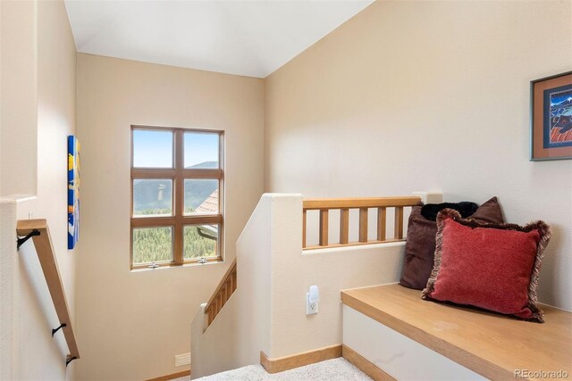 33095 Bergen Mountain Rd, Evergreen, CO 80439 - photo 28
