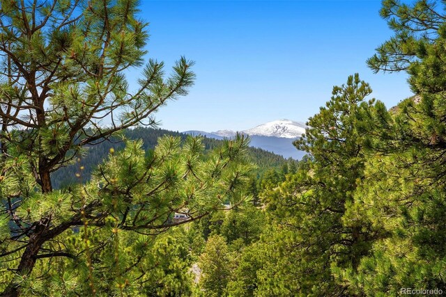 33095 Bergen Mountain Rd, Evergreen, CO 80439 - photo 17