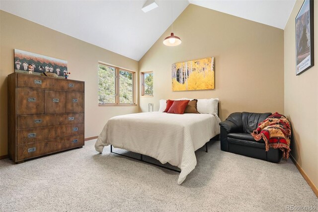 33095 Bergen Mountain Rd, Evergreen, CO 80439 - photo 38