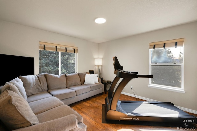 20000 Mitchell Pl Unit 9, Denver, CO 80249 - living area featuring a wealth of natural light, wood finished floors, and baseboards