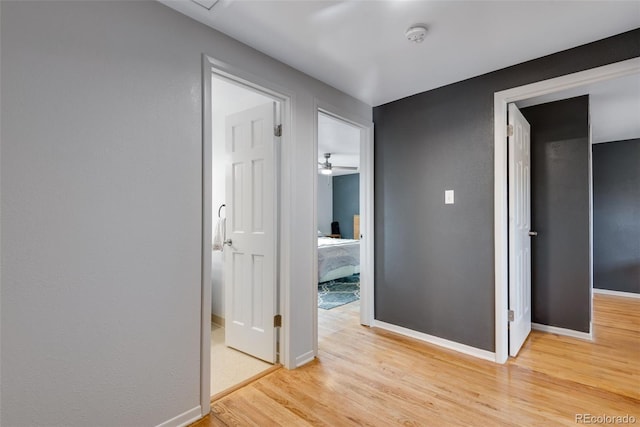 147 Wallace St, Northglenn, CO 80234 - corridor with light wood-type flooring and baseboards