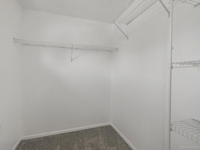9024 Gale Blvd Unit 3, Thornton, CO 80260 - spacious closet featuring carpet flooring