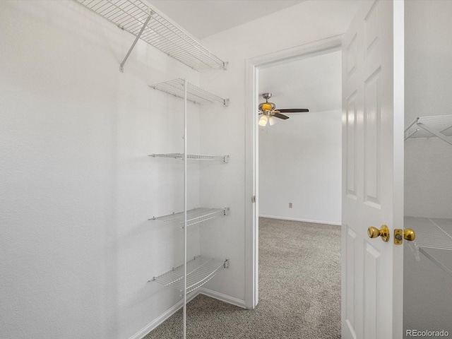 9024 Gale Blvd Unit 3, Thornton, CO 80260 - spacious closet with carpet and a ceiling fan