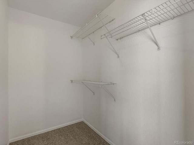 9024 Gale Blvd Unit 3, Thornton, CO 80260 - walk in closet with carpet flooring