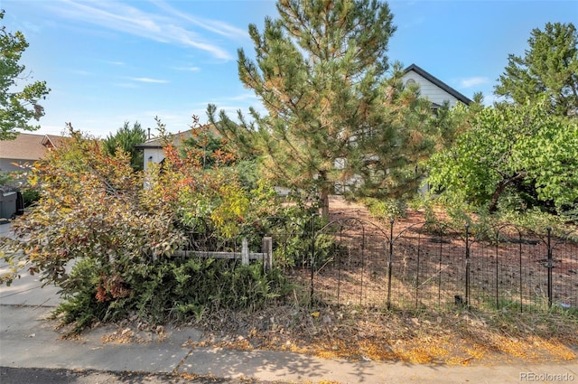 8465 Wheatgrass Cir, Parker, CO 80134 - photo 15
