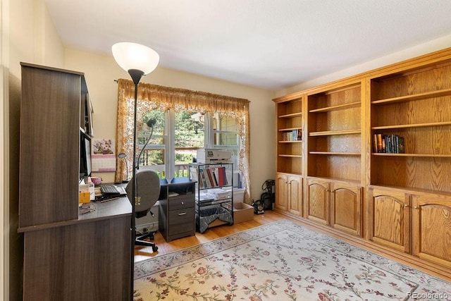 1563 Southpark Rd, Florissant, CO 80816 - office space with light wood-style floors
