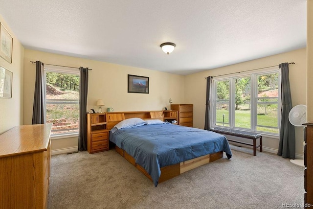 1563 Southpark Rd, Florissant, CO 80816 - carpeted bedroom with multiple windows and a textured ceiling