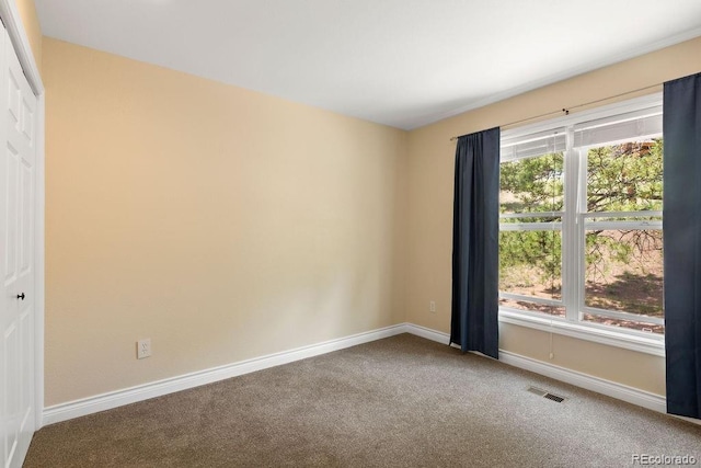 1563 Southpark Rd, Florissant, CO 80816 - unfurnished room with carpet and baseboards
