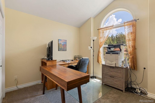 1563 Southpark Rd, Florissant, CO 80816 - carpeted home office with vaulted ceiling and baseboards