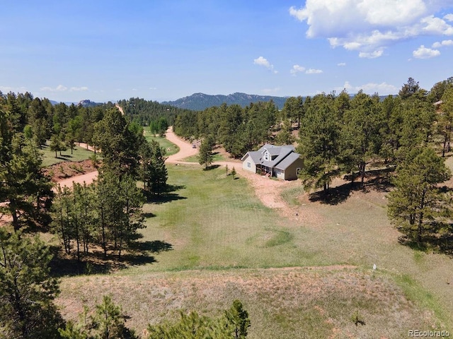 1563 Southpark Rd, Florissant, CO 80816 - aerial view of property and surrounding area featuring a heavily wooded area and mountains