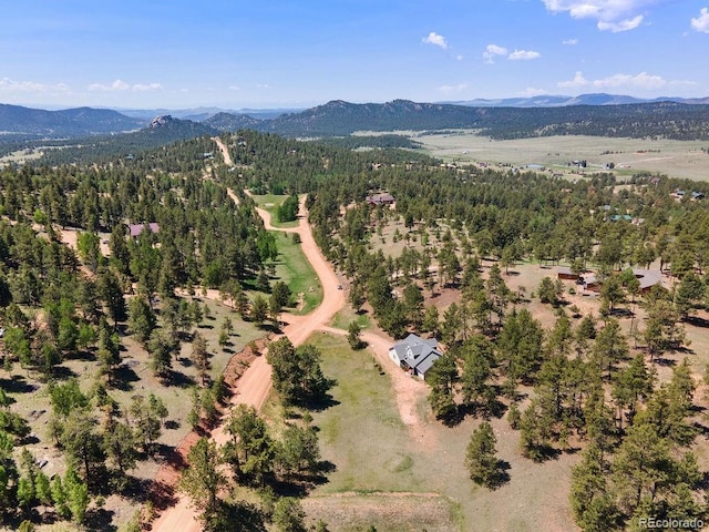 1563 Southpark Rd, Florissant, CO 80816 - bird's eye view of a mountain backdrop