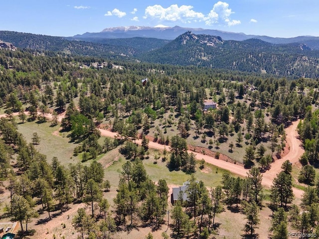 1563 Southpark Rd, Florissant, CO 80816 - aerial view of a mountainous background and a forest