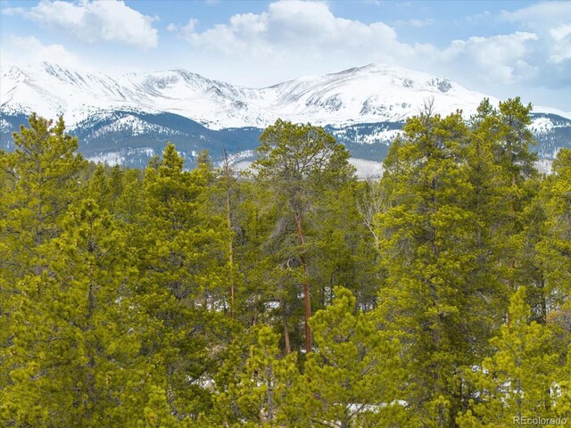 379 Juniper Dr, Twin Lakes, CO 81251