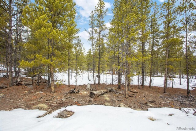379 Juniper Dr, Twin Lakes, CO 81251