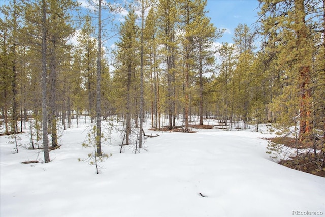 379 Juniper Dr, Twin Lakes, CO 81251
