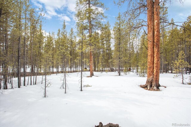 379 Juniper Dr, Twin Lakes, CO 81251