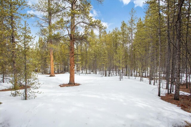 379 Juniper Dr, Twin Lakes, CO 81251